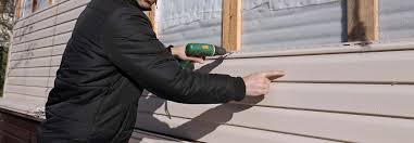 Best Custom Trim and Detailing for Siding  in Alexandria, KY